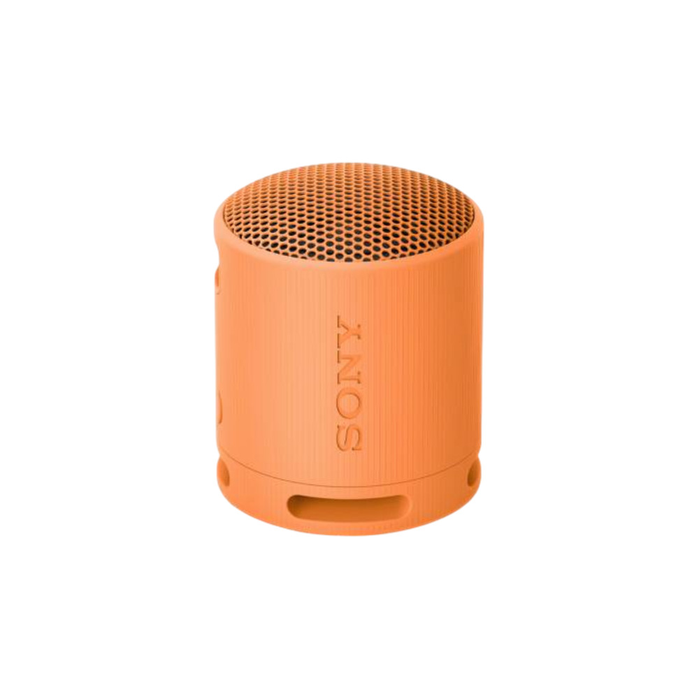 SONY SRSXB100D.CE7