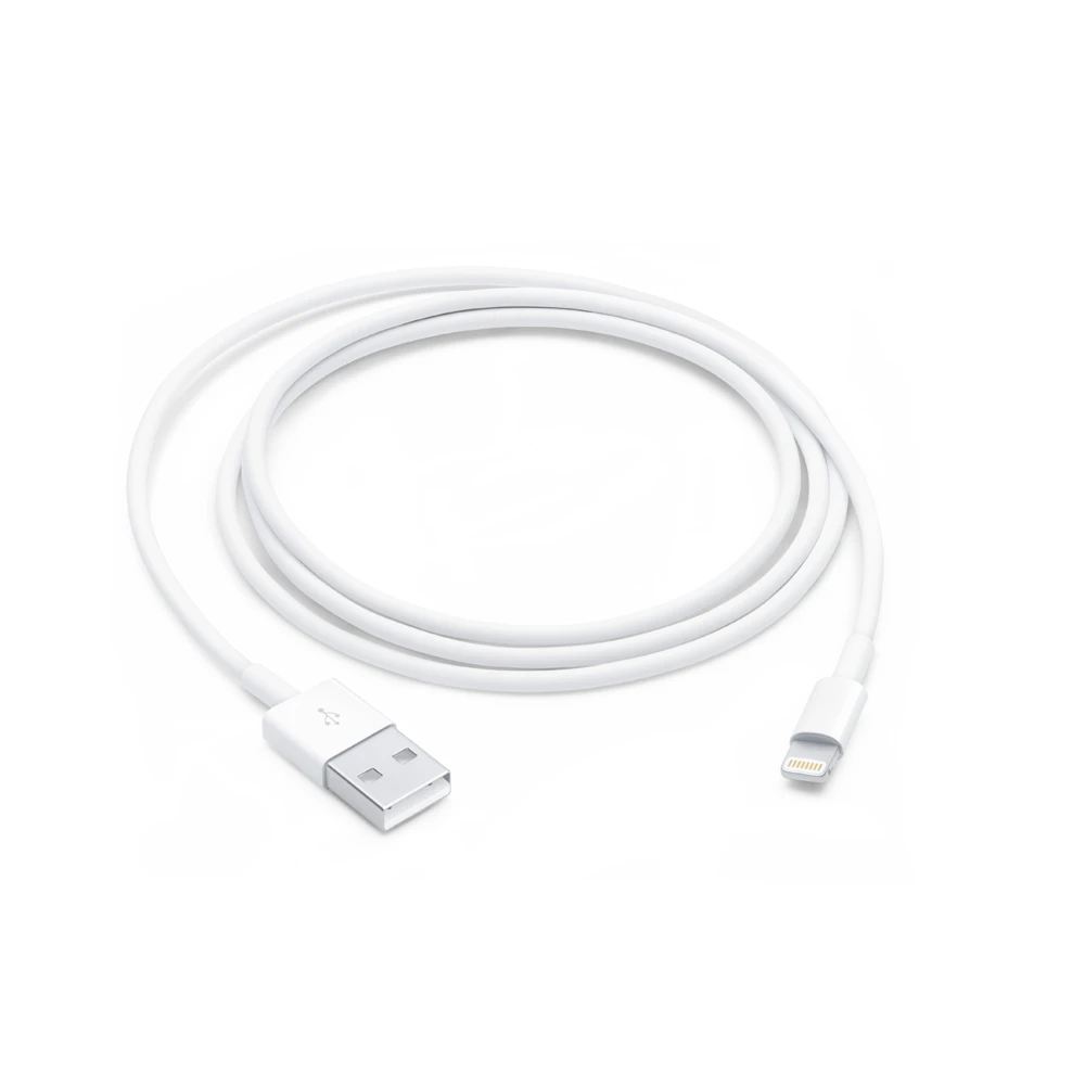 Apple Lightning to USB Cable (1 m)
