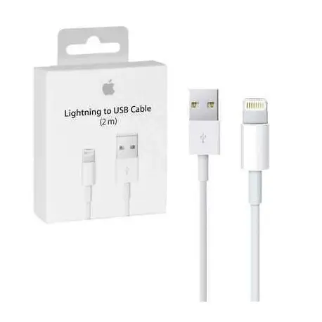 Apple Lightning to USB Cable (2 m)