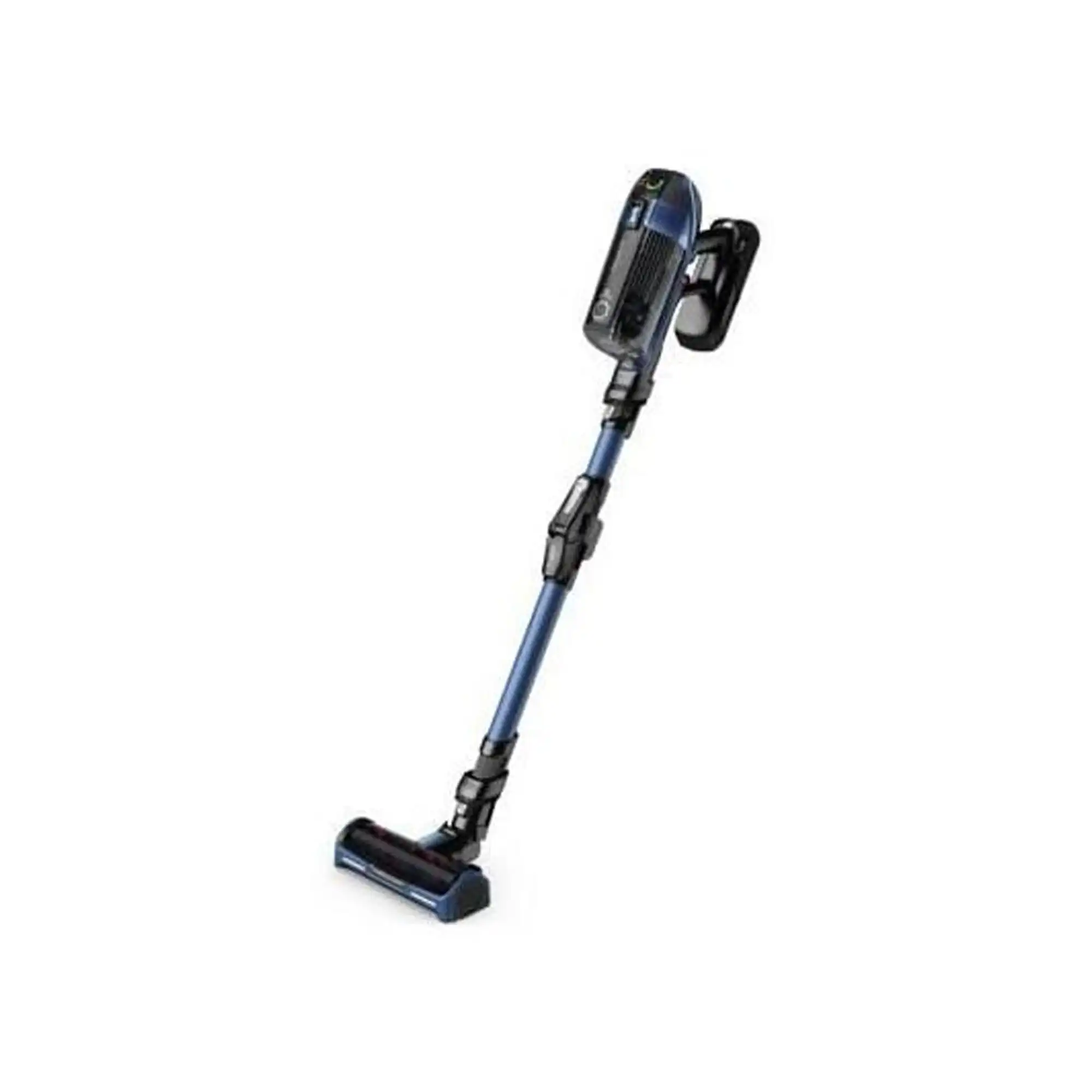 Rowenta RH99C0WO