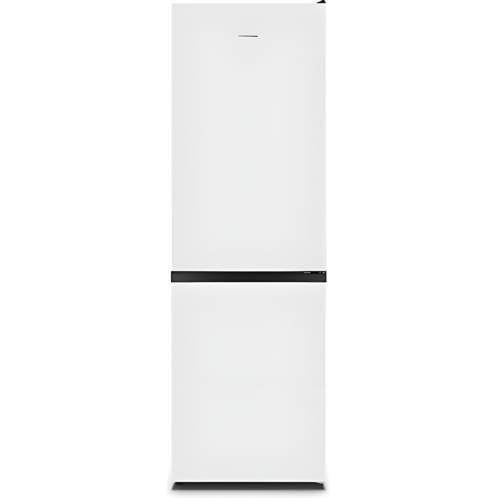 HISENSE RB390N4AWE