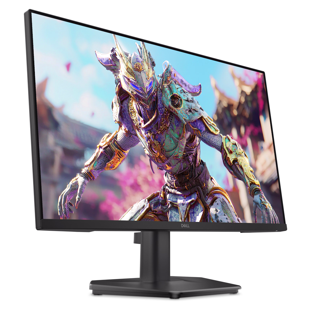 DELL Monitor SE2426HG