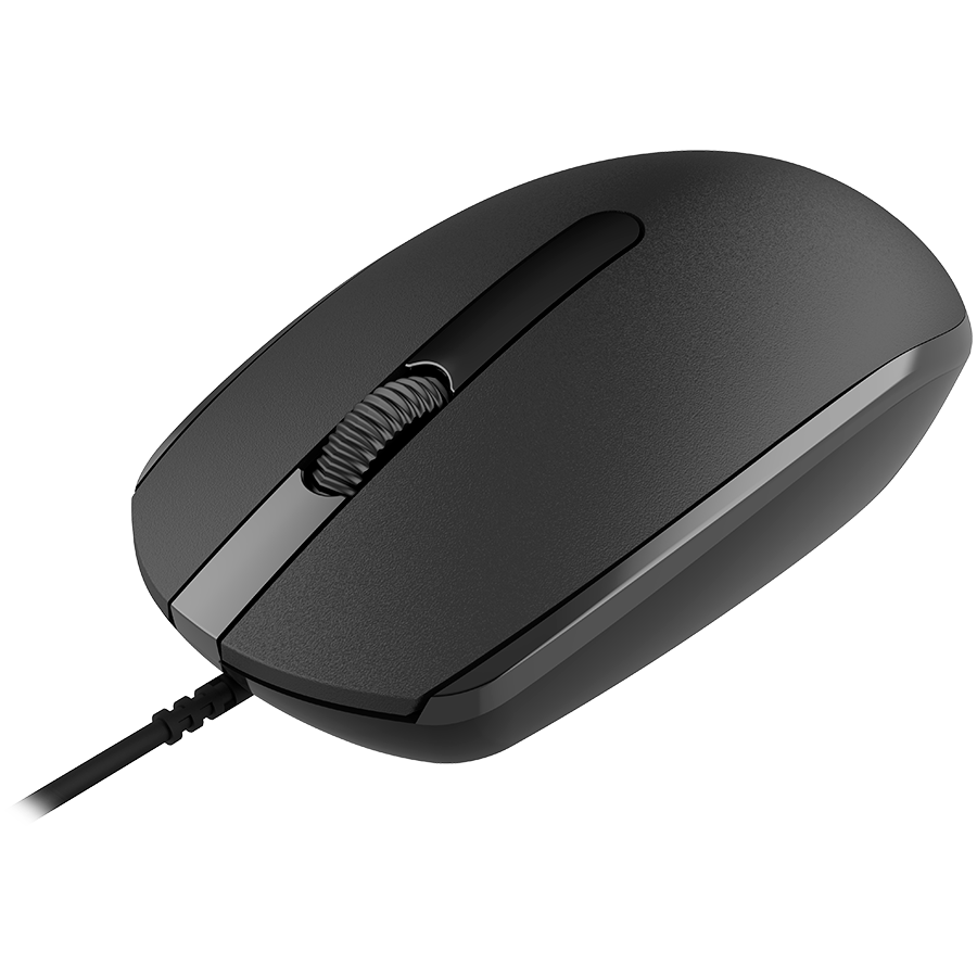 Mouse CANYON M-10 CNE-CMS10B